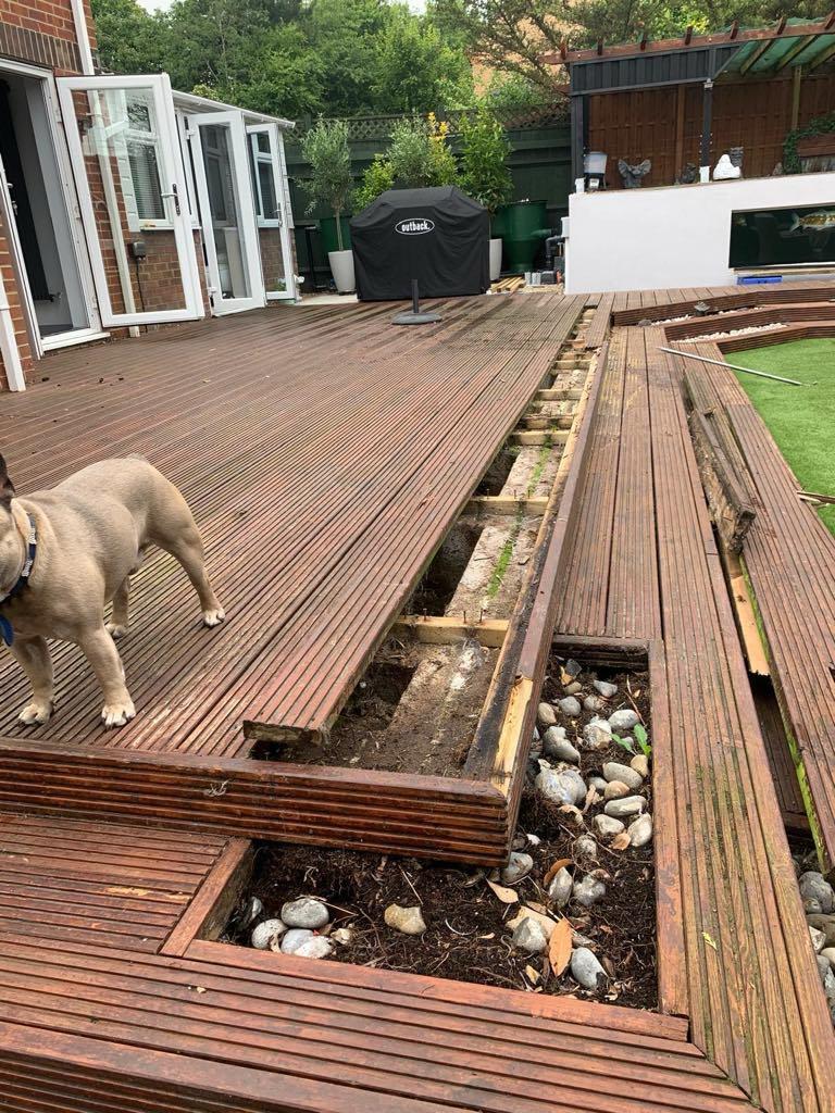 During: Professional removal in Bexley